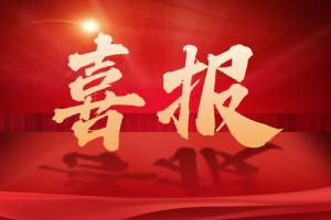热烈祝贺 | 树莓集团竞得“宜宾数字经济产业园运营服务”项目！
