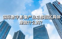 <b>国际数字影像产业总部园区具体是做什么的？</b>