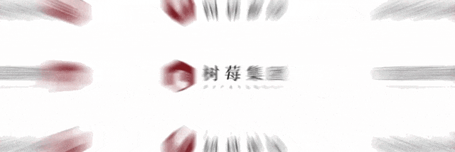 树莓控股与加拿大经贸与企业界代表举行合作洽谈 共推AIGC微短剧出海